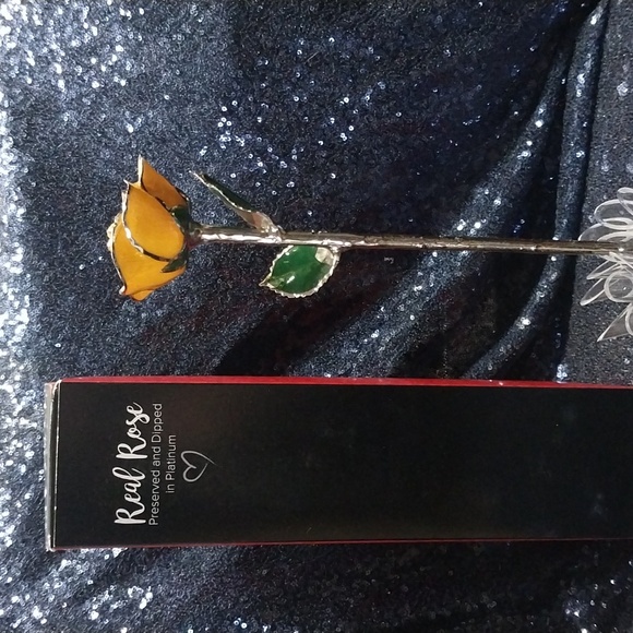 I Hate Steven Singer - Picture 4 of 7